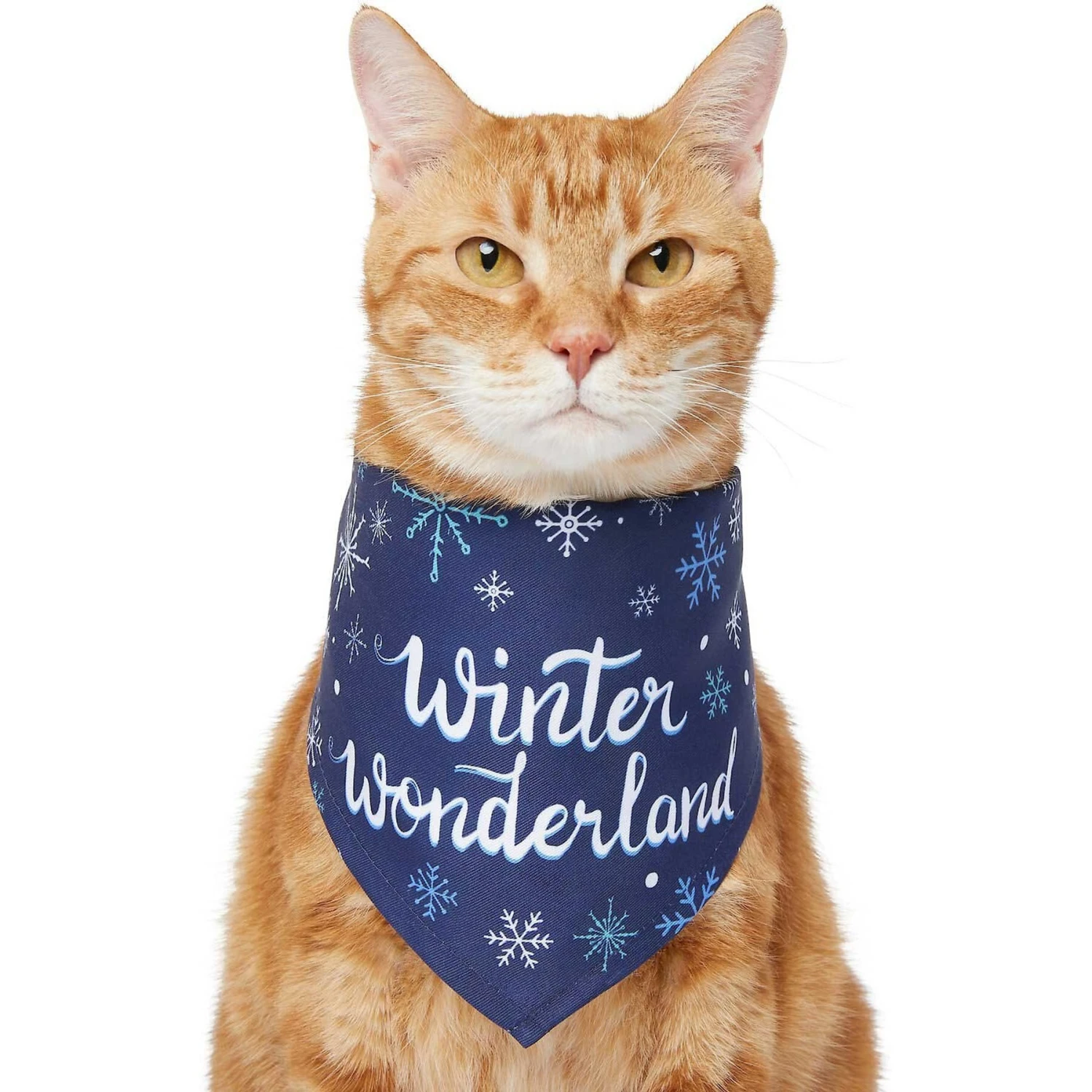 Frisco Winter Wonderland Dog & Cat Bandana Frisco Winter Wonderland Dog & Cat Bandana -Frisco Pet Hub 276279 PT2. AC SS1800 V1637675218