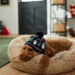 Frisco Jolly Snowman Dog & Cat Knitted Hat -Frisco Pet Hub 276303 PT8. AC SS1800 V1631300384