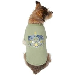Frisco Joyful Hygge-Inspired Dog & Cat T-shirt -Frisco Pet Hub 276488 PT3. AC SS1800 V1637725670