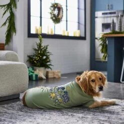 Frisco Joyful Hygge-Inspired Dog & Cat T-shirt -Frisco Pet Hub 276488 PT5. AC SS1800 V1637666798
