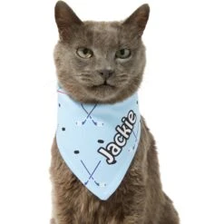 Frisco Ice Hockey Personalized Dog & Cat Bandana -Frisco Pet Hub 287048 PT7. AC SS1800 V1623246478