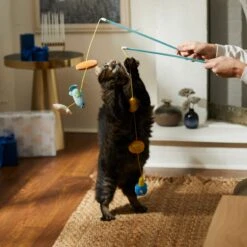 Frisco Holiday Hanukkah Teaser Cat Toy With Catnip, 2 Count -Frisco Pet Hub 287277 PT3. AC SS1800 V1632771712