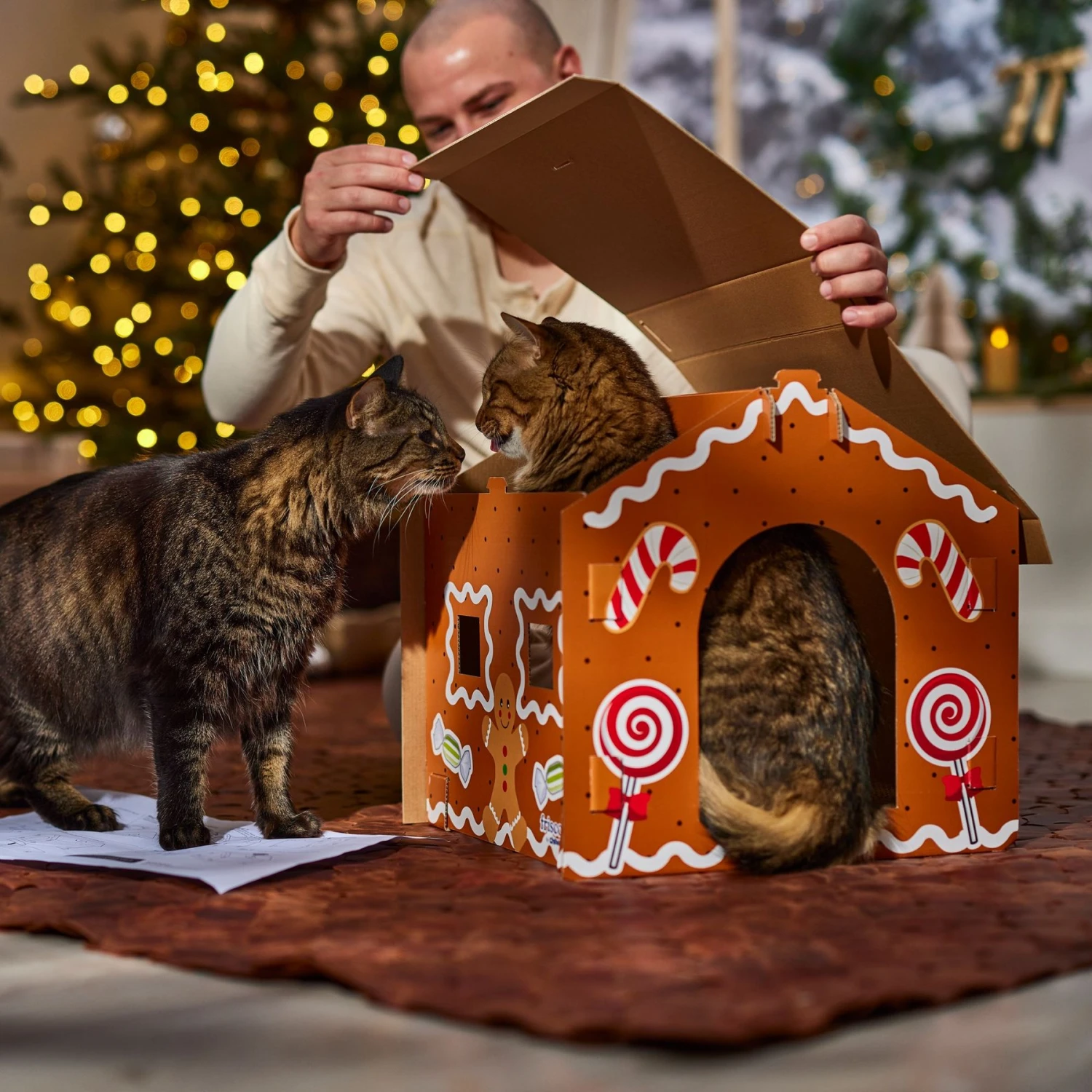 Frisco Holiday Gingerbread House Cardboard Cat House Cat Toy Frisco Holiday Gingerbread House Cardboard Cat House Cat Toy -Frisco Pet Hub 287289 PT3. AC SS1800 V1695046487