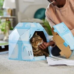 Frisco Igloo Cardboard Cat House -Frisco Pet Hub 287293 PT3. AC SS1800 V1692035199