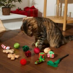 Frisco Holiday Festive Red Variety Pack Gift Box Cat Toy With Catnip, 14 Count 3 Frisco Holiday Festive Red Variety Pack Gift Box Cat Toy With Catnip, 14 Count -Frisco Pet Hub 287305 PT3. AC SS1800 V1632773836