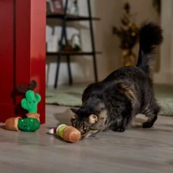 Frisco Holiday Cactus Plush Cat Toy With Catnip, 3 Count 2 Frisco Holiday Cactus Plush Cat Toy With Catnip, 3 Count -Frisco Pet Hub 287329 PT3. AC SS1800 V1661874421