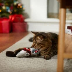 Frisco Holiday Raccoon Kicker Plush Cat Toy With Catnip -Frisco Pet Hub 287379 PT3. AC SS1800 V1632776287
