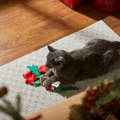 Frisco Flower Bouquet Plush Cat Toy With Catnip -Frisco Pet Hub 287395 PT3. AC SS1800 V1632774747