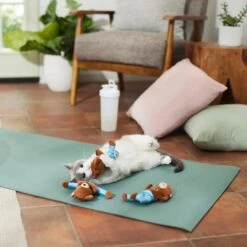 Frisco New Year, New Me Namaste Bear Plush Cat Toy With Catnip -Frisco Pet Hub 288947 PT3. AC SS1800 V1638289414