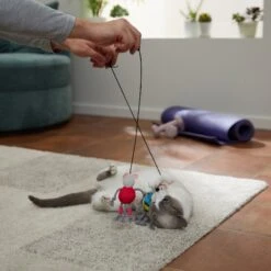 Frisco New Year, New Me Gym Bouncy Mice Plush Cat Toy With Catnip -Frisco Pet Hub 288949 PT3. AC SS1800 V1638289802