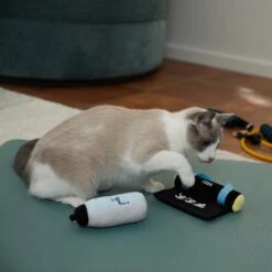 Frisco Yoga Mat & Water Bottle Plush Cat Toy With Catnip, 2 Count -Frisco Pet Hub 288955 PT3. AC SS1800 V1638289648