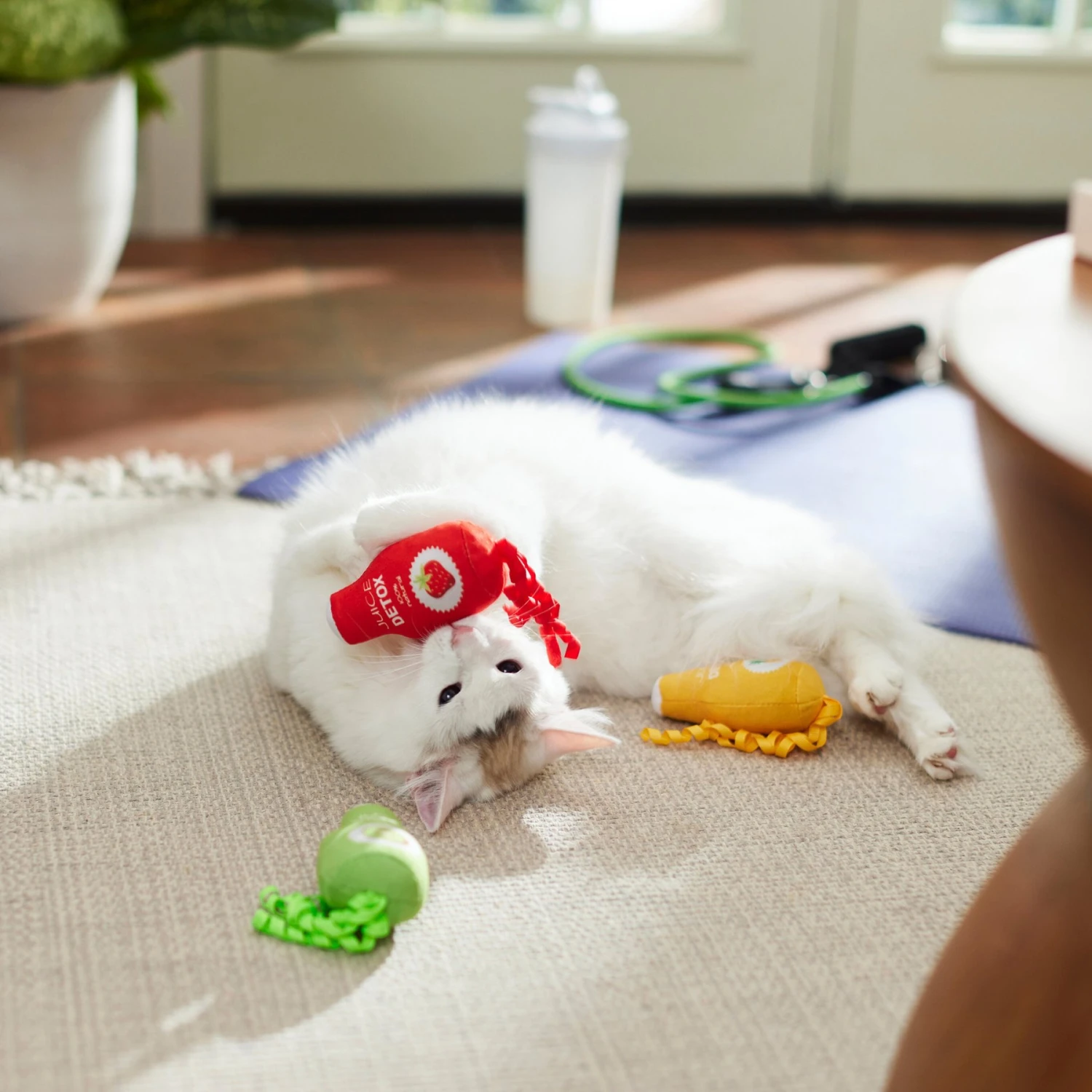 Frisco New Year, New Me Juice Cleanse Plush Cat Toy With Catnip Frisco New Year, New Me Juice Cleanse Plush Cat Toy With Catnip -Frisco Pet Hub 288957 PT3. AC SS1800 V1638292099