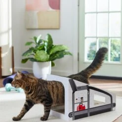 Frisco Treadmill Cardboard Cat House -Frisco Pet Hub 288967 PT3. AC SS1800 V1638288289