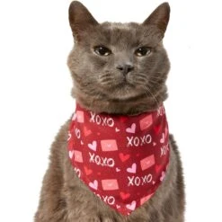 Frisco Love Letters Dog & Cat Bandana -Frisco Pet Hub 292051 PT2. AC SS1800 V1637269050