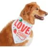 Frisco Love Bites Dog & Cat Bandana