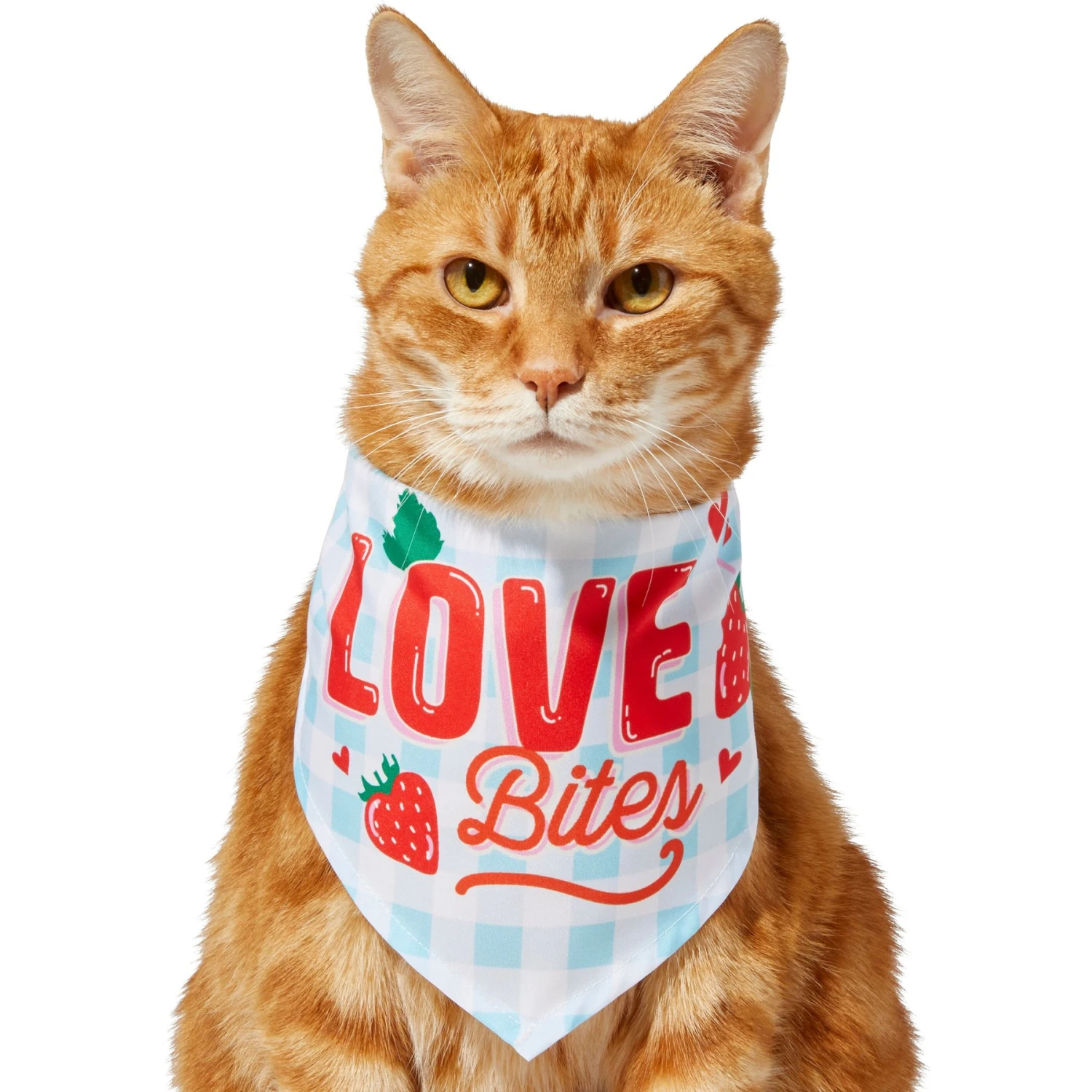 Frisco Love Bites Dog & Cat Bandana Frisco Love Bites Dog & Cat Bandana -Frisco Pet Hub 292054 PT2. AC SS1800 V1637268455