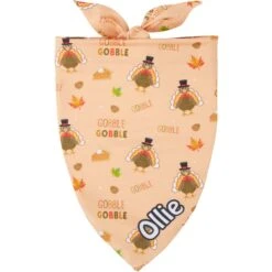 Frisco Quirky Thanksgiving Personalized Dog & Cat Bandana