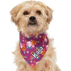 Frisco Fall Floral Personalized Dog & Cat Bandana -Frisco Pet Hub 296990 PT6. AC SS1800 V1627654305