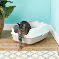 Frisco Decorative Side Table Cat Litter Box Cover & Frisco Open Top Cat Litter Box With Rim, Large -Frisco Pet Hub 297992 PT6. AC SS1800 V1621299762