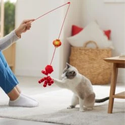 Frisco Lunar New Year Firecracker & Lantern Teaser Cat Toy With Catnip -Frisco Pet Hub 298901 PT3. AC SS1800 V1640269210
