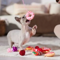 Frisco Valentine Variety Pack Cat Toy With Catnip, 13 Count -Frisco Pet Hub 298966 PT3. AC SS1800 V1701364858