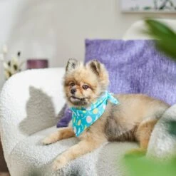 Frisco Spring Easter Egg Dog & Cat Bandana 5 Frisco Spring Easter Egg Dog & Cat Bandana -Frisco Pet Hub 300663 PT5. AC SS1800 V1641539822