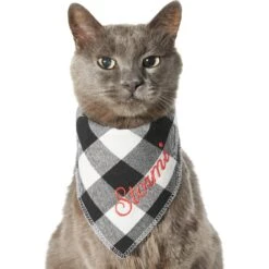 Frisco Buffalo Check Embroidered Personalized Dog & Cat Bandana -Frisco Pet Hub 301162 PT7. AC SS1800 V1628535983