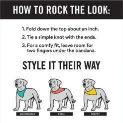 Frisco Santa's Favorite Elf Personalized Dog & Cat Bandana 2 Frisco Santa's Favorite Elf Personalized Dog & Cat Bandana -Frisco Pet Hub 301369 PT2. AC SS1800 V1623274661