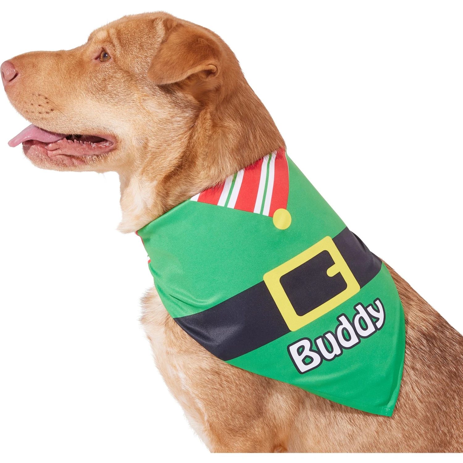 Frisco Santa's Favorite Elf Personalized Dog & Cat Bandana Frisco Santa's Favorite Elf Personalized Dog & Cat Bandana -Frisco Pet Hub 301369 PT6. AC SS1800 V1628100146