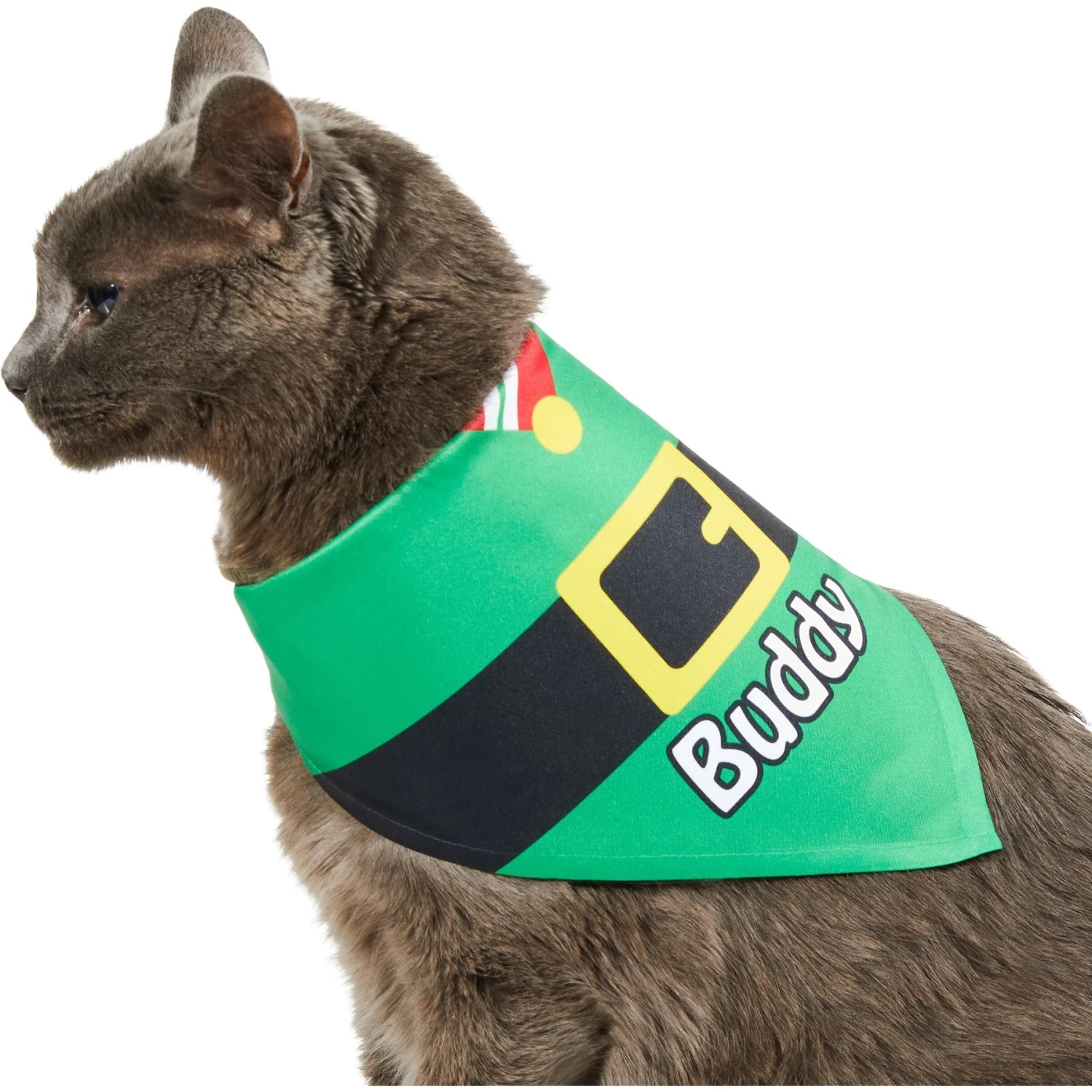 Frisco Santa's Favorite Elf Personalized Dog & Cat Bandana Frisco Santa's Favorite Elf Personalized Dog & Cat Bandana -Frisco Pet Hub 301369 PT7. AC SS1800 V1628100114