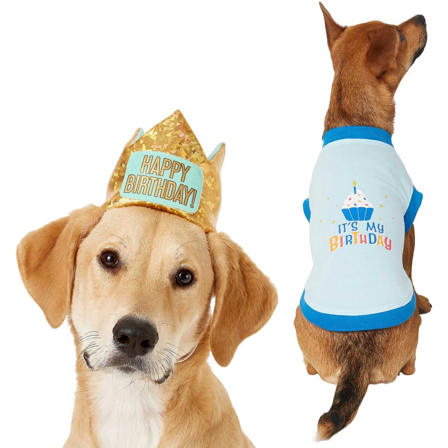 Frisco Happy Birthday Dog & Cat Crown & Frisco It's My Birthday & Cat T-Shirt Frisco Happy Birthday Dog & Cat Crown & Frisco It's My Birthday & Cat T-Shirt -Frisco Pet Hub 302470 MAIN. AC SS1800 V1623076950