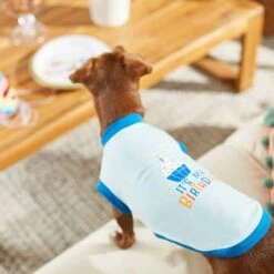 Frisco Happy Birthday Dog & Cat Crown & Frisco It's My Birthday & Cat T-Shirt 7 Frisco Happy Birthday Dog & Cat Crown & Frisco It's My Birthday & Cat T-Shirt -Frisco Pet Hub 302470 PT7. AC SS1800 V1623037657