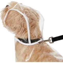 Frisco Lightweight Rainy Days Dog Raincoat & Frisco Lightweight Clear Vinyl Dog Raincoat -Frisco Pet Hub 302814 PT6. AC SS1800 V1623065256