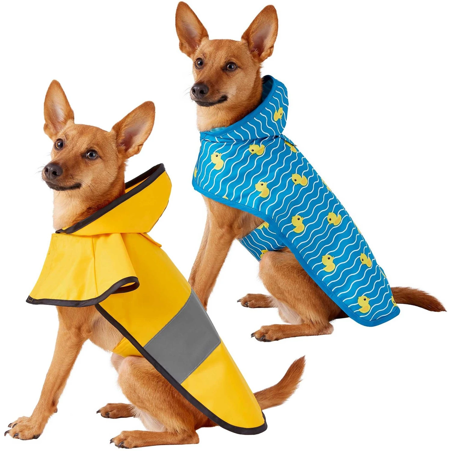 Frisco Lightweight Rainy Days Dog Raincoat & Frisco Lightweight Rubber Ducky Dog Raincoat Frisco Lightweight Rainy Days Dog Raincoat & Frisco Lightweight Rubber Ducky Dog Raincoat -Frisco Pet Hub 302842 MAIN. AC SS1800 V1623035559