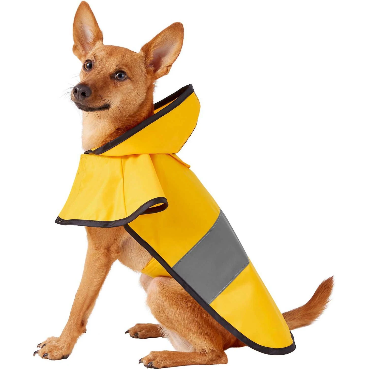 Frisco Lightweight Rainy Days Dog Raincoat & Frisco Lightweight Rubber Ducky Dog Raincoat Frisco Lightweight Rainy Days Dog Raincoat & Frisco Lightweight Rubber Ducky Dog Raincoat -Frisco Pet Hub 302842 PT1. AC SS1800 V1623051164