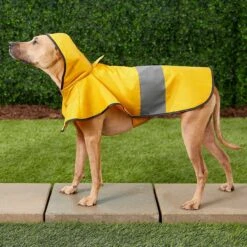 Frisco Lightweight Rainy Days Dog Raincoat & Frisco Lightweight Rubber Ducky Dog Raincoat 4 Frisco Lightweight Rainy Days Dog Raincoat & Frisco Lightweight Rubber Ducky Dog Raincoat -Frisco Pet Hub 302842 PT4. AC SS1800 V1623052647