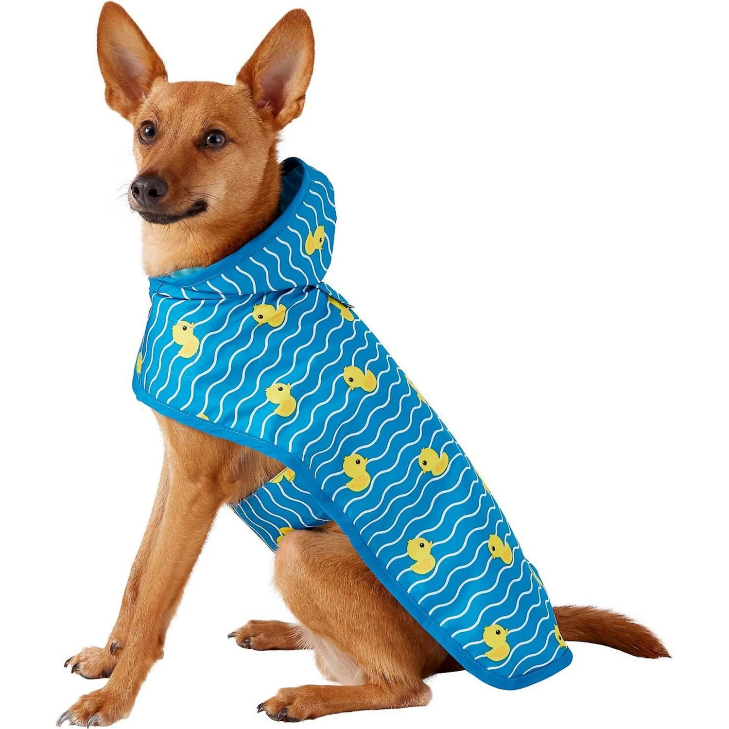 Frisco Lightweight Rainy Days Dog Raincoat & Frisco Lightweight Rubber Ducky Dog Raincoat Frisco Lightweight Rainy Days Dog Raincoat & Frisco Lightweight Rubber Ducky Dog Raincoat -Frisco Pet Hub 302842 PT5. AC SS1800 V1623046061