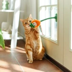 Frisco St. Patrick's Leprechaun Suction Cup Teaser Cat Toy With Catnip -Frisco Pet Hub 303110 PT3. AC SS1800 V1641230446
