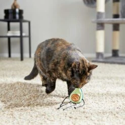 Frisco Cactus Cat Scratching Post & Frisco Dangly Avocado Buddy Plush Cat Toy With Catnip -Frisco Pet Hub 303380 PT6. AC SS1800 V1623085642