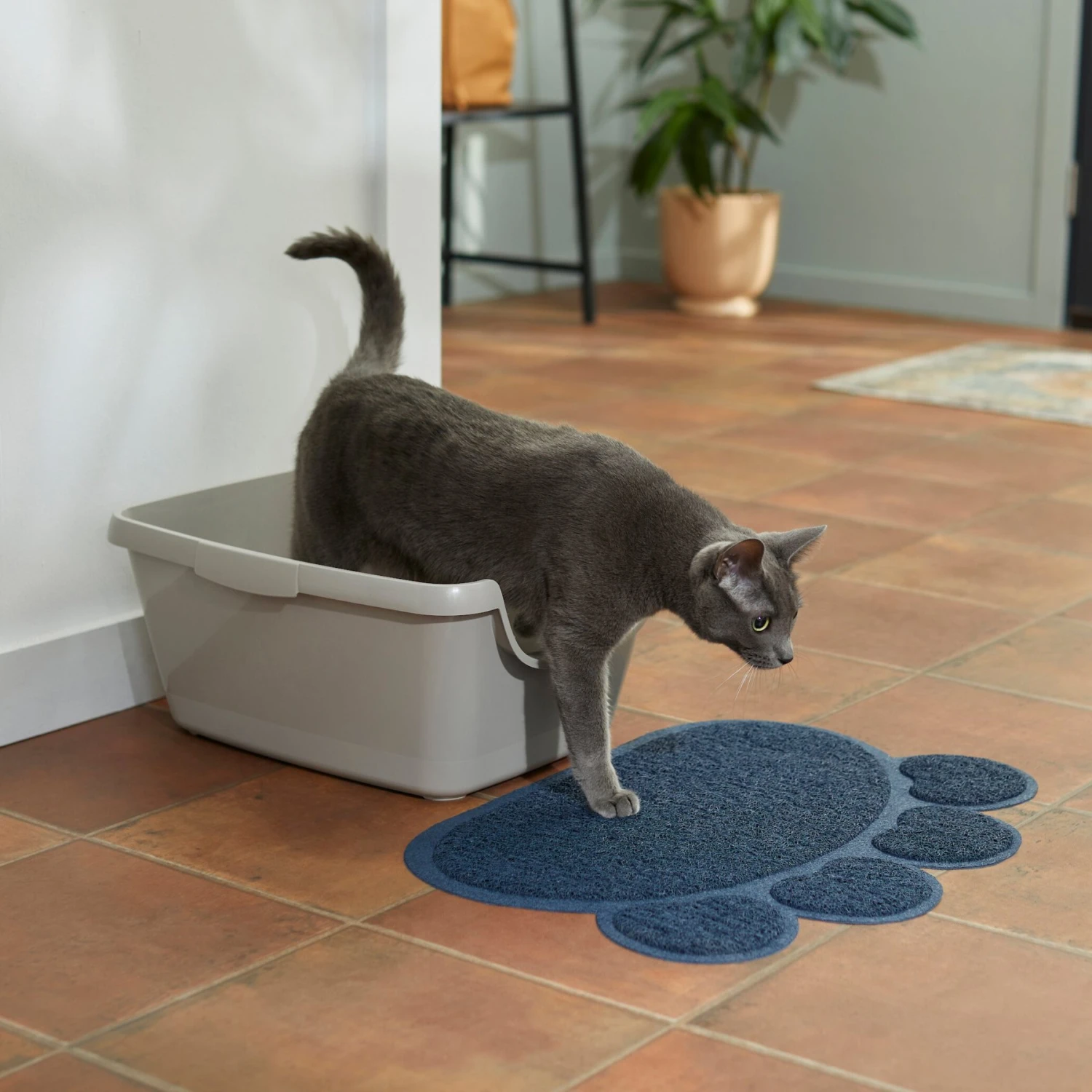 Frisco Paw Shaped Cat Litter Mat Frisco Paw Shaped Cat Litter Mat -Frisco Pet Hub 309790 PT2. AC SS1800 V1634326328