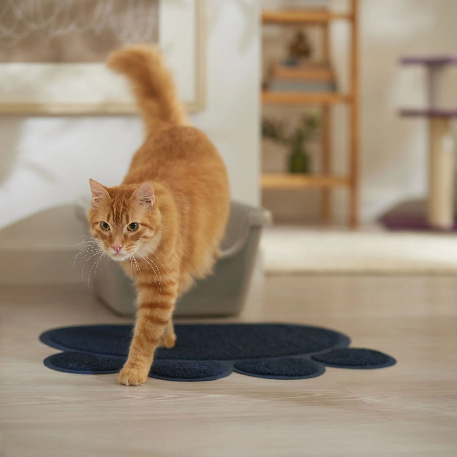 Frisco Paw Shaped Cat Litter Mat Frisco Paw Shaped Cat Litter Mat -Frisco Pet Hub 309790 PT3. AC SS1800 V1676648574