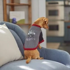 Frisco Bad Motha Fluffa Dog & Cat T-Shirt -Frisco Pet Hub 312048 PT8. AC SS1800 V1644446866