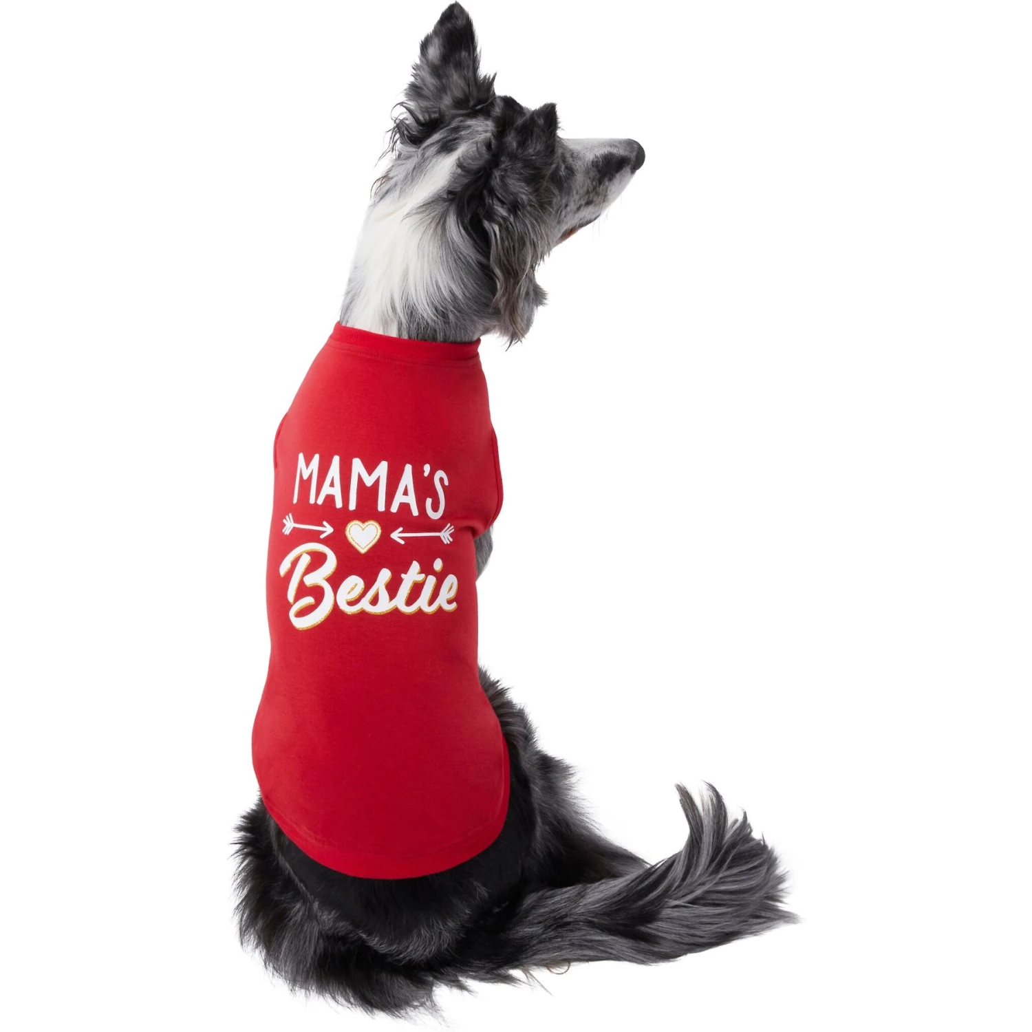 Frisco Mama's Bestie Dog & Cat T-Shirt Frisco Mama's Bestie Dog & Cat T-Shirt -Frisco Pet Hub 312056 MAIN. AC SS1800 V1644425902