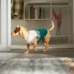 Frisco Tropical Palm Dog & Cat T-Shirt -Frisco Pet Hub 312072 PT8. AC SS1800 V1644425897