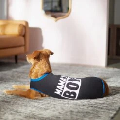 Frisco Mama's Boy Dog & Cat T-Shirt 5 Frisco Mama's Boy Dog & Cat T-Shirt -Frisco Pet Hub 312088 PT5. AC SS1800 V1673361675