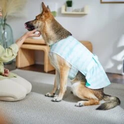 Frisco Green Tie Dye Dog & Cat Dress -Frisco Pet Hub 312104 PT8. AC SS1800 V1644424641