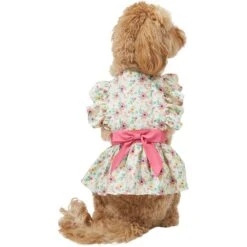 Frisco Dainty Pink Floral Dog & Cat Dress -Frisco Pet Hub 312136 PT2. AC SS1800 V1703872208