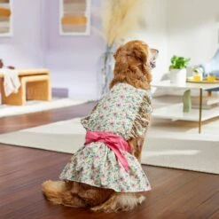 Frisco Dainty Pink Floral Dog & Cat Dress -Frisco Pet Hub 312136 PT7. AC SS1800 V1703872208