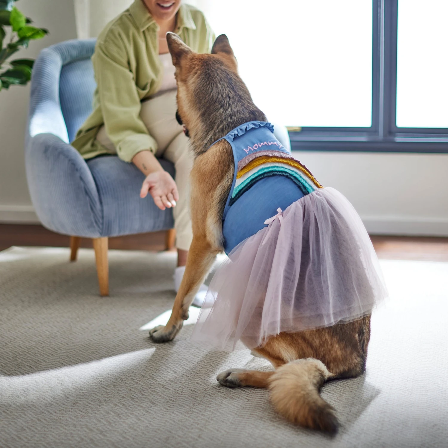 Frisco Rainbow Denim Dog & Cat Dress Frisco Rainbow Denim Dog & Cat Dress -Frisco Pet Hub 312144 PT8. AC SS1800 V1644527534