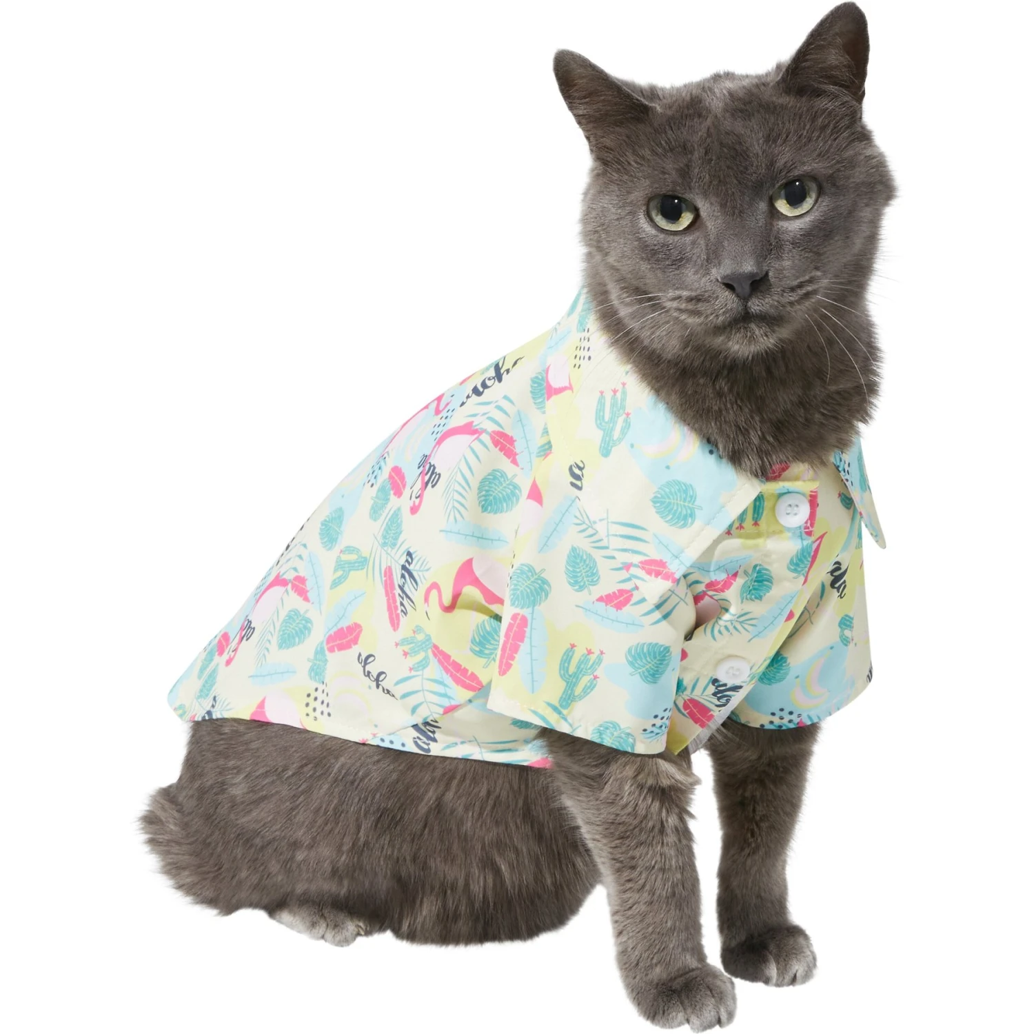 Frisco Flamingo Camp Dog & Cat Shirt Frisco Flamingo Camp Dog & Cat Shirt -Frisco Pet Hub 312176 PT2. AC SS1800 V1644525201